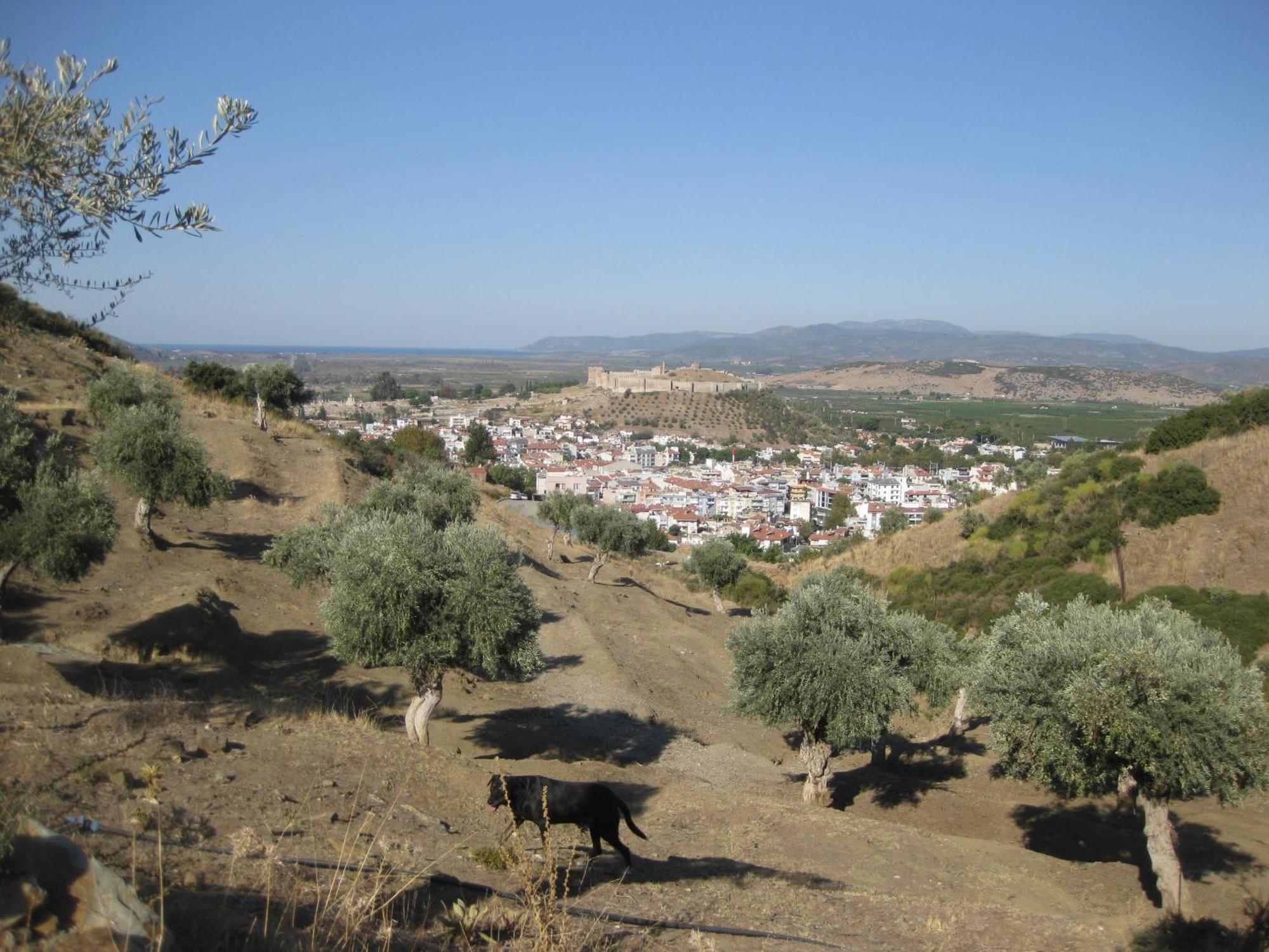 Villa Manzara Selcuk ภายนอก รูปภาพ